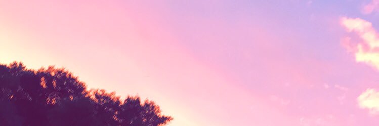 abbykate08's profile banner image