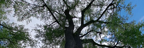 JasonArgo50 Profile Banner