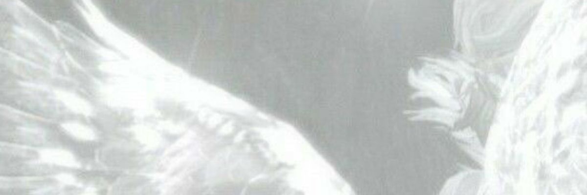 maedew__'s profile banner image