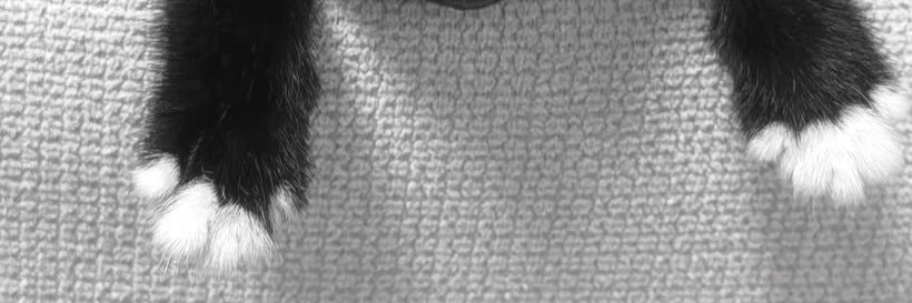2 banner