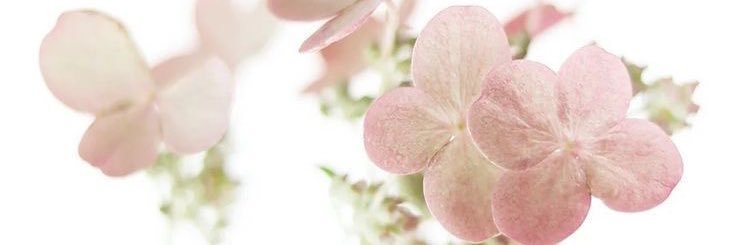 meiii190's profile banner image
