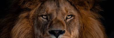 JamariCooper_'s profile banner image