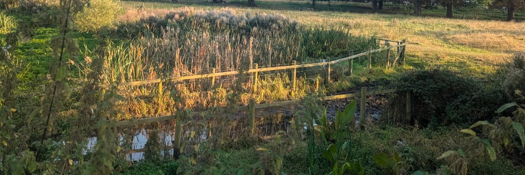 ix #corktwt expat banner