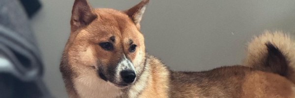 DeoneDreaded Profile Banner