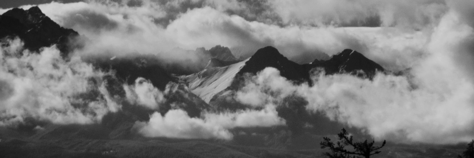 JT 🩻's banner