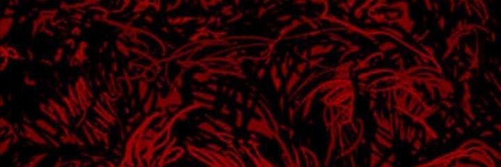 mzmayh3m's banner