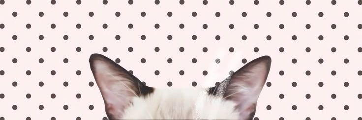 peitosdoshoto's profile banner image