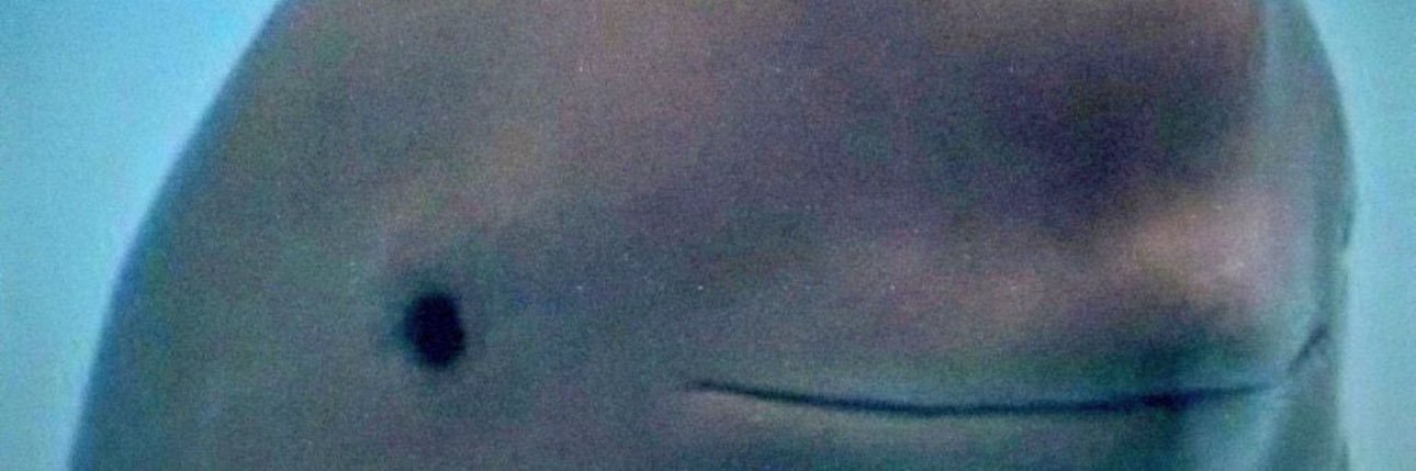 7ndoshndm's profile banner image