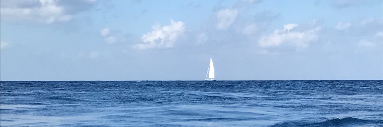 roxhdez's profile banner image