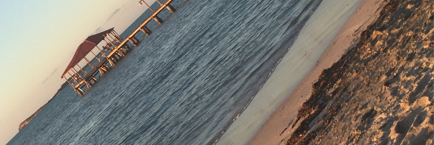 yassaris's profile banner image