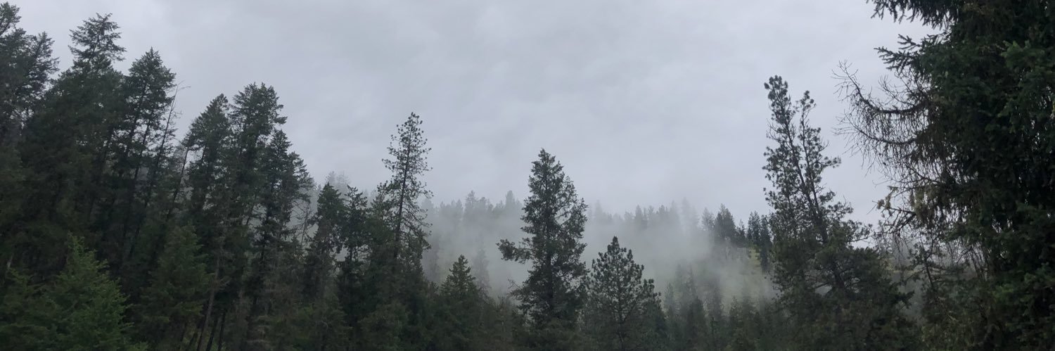 mickeydoo26's profile banner image
