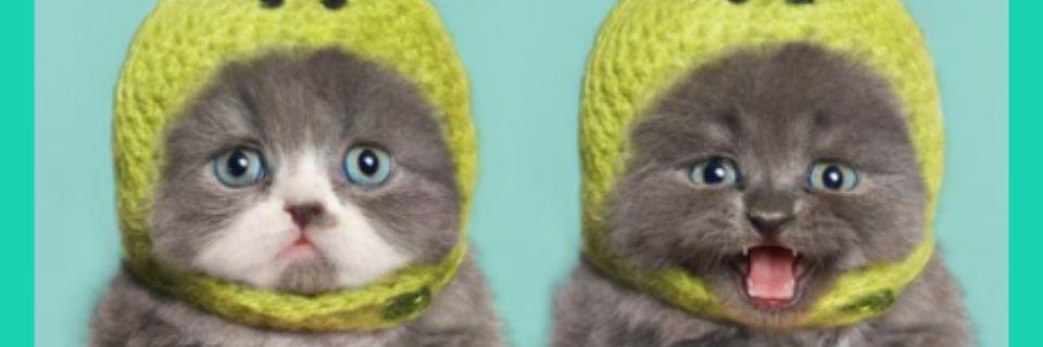 Laras_dewinia's profile banner image