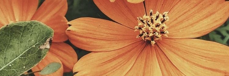 _abbienxo's profile banner image