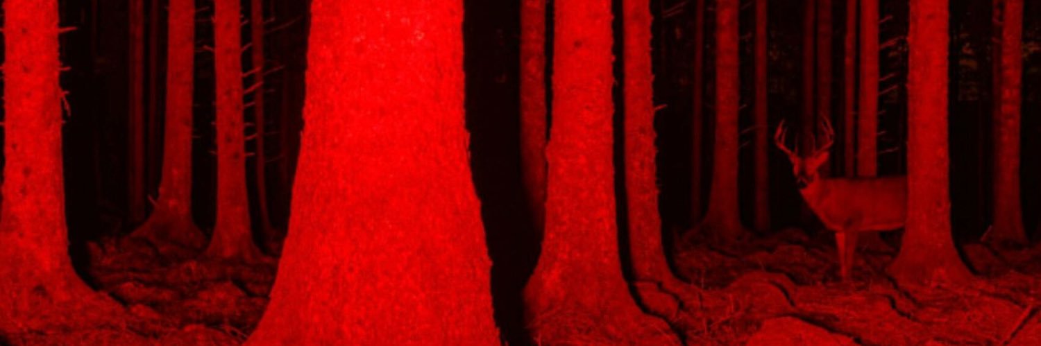 Fierro banner