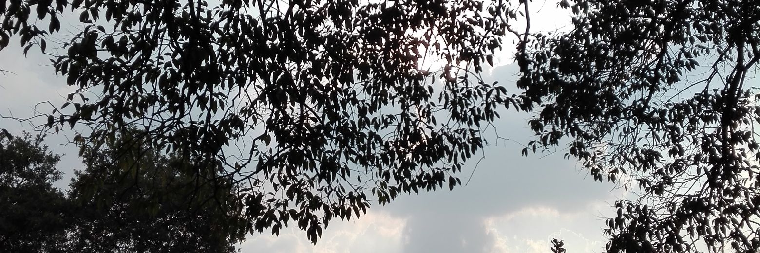 una_tal_chio's profile banner image