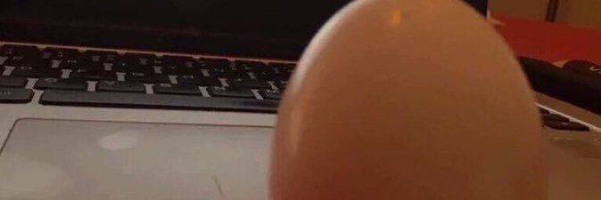 BuckeyevsTworld's profile banner image