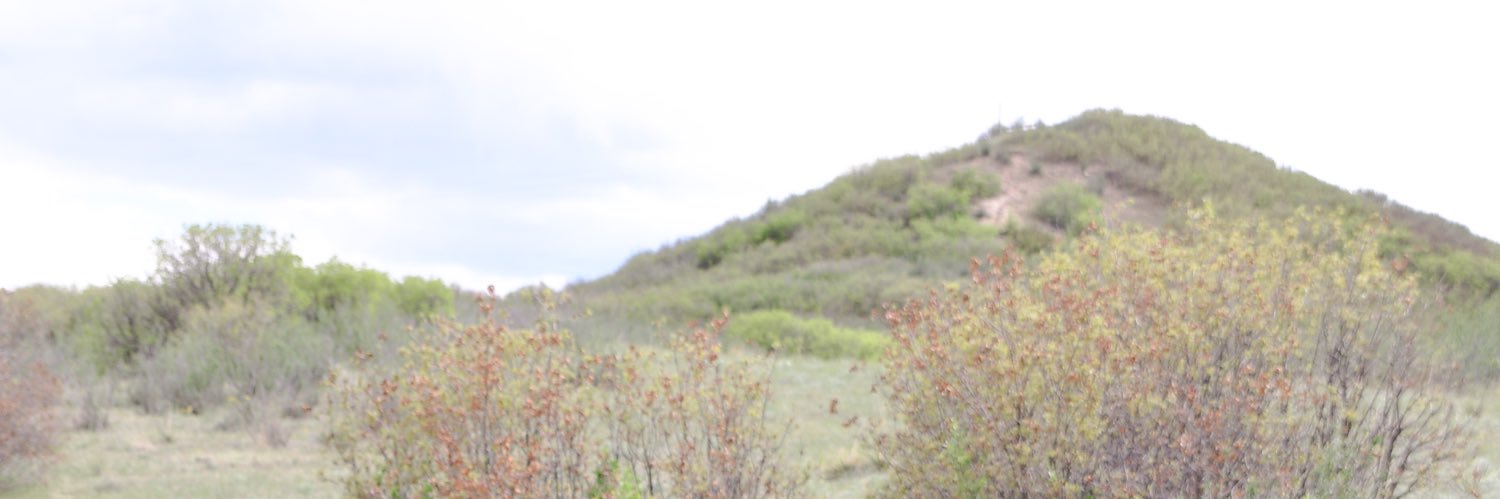 anniekiyan's profile banner image