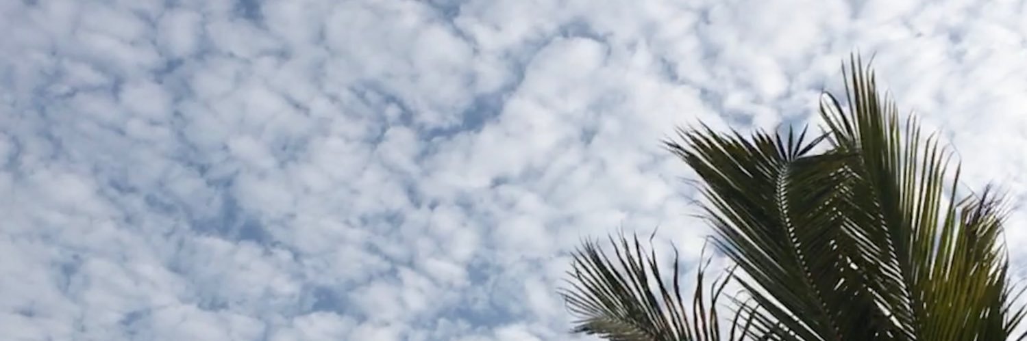 malumunoz_'s profile banner image