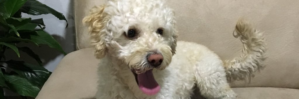 _Letty9_'s profile banner image