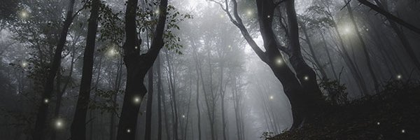 AliceLBottom's profile banner image