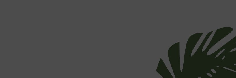 Sophia not rain banner