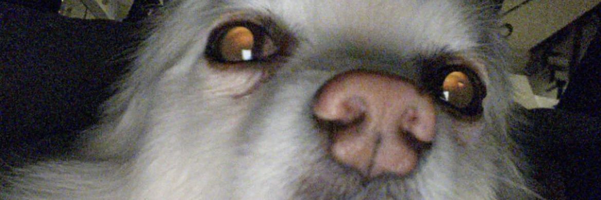 TarynDas's profile banner image