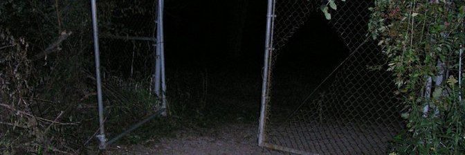 Zombz!!'s banner