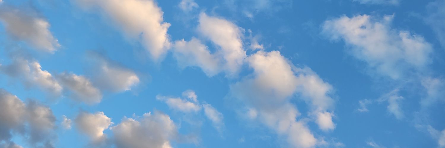 Angela Rhoten's banner