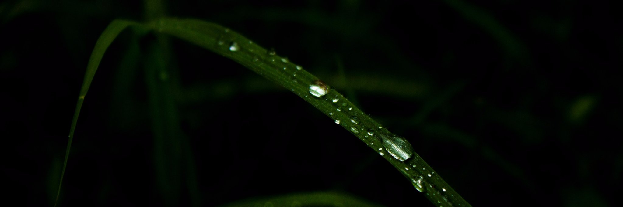 adabemartinez's profile banner image