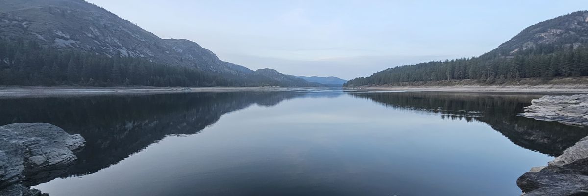 Brush Yeti Actual - LD banner