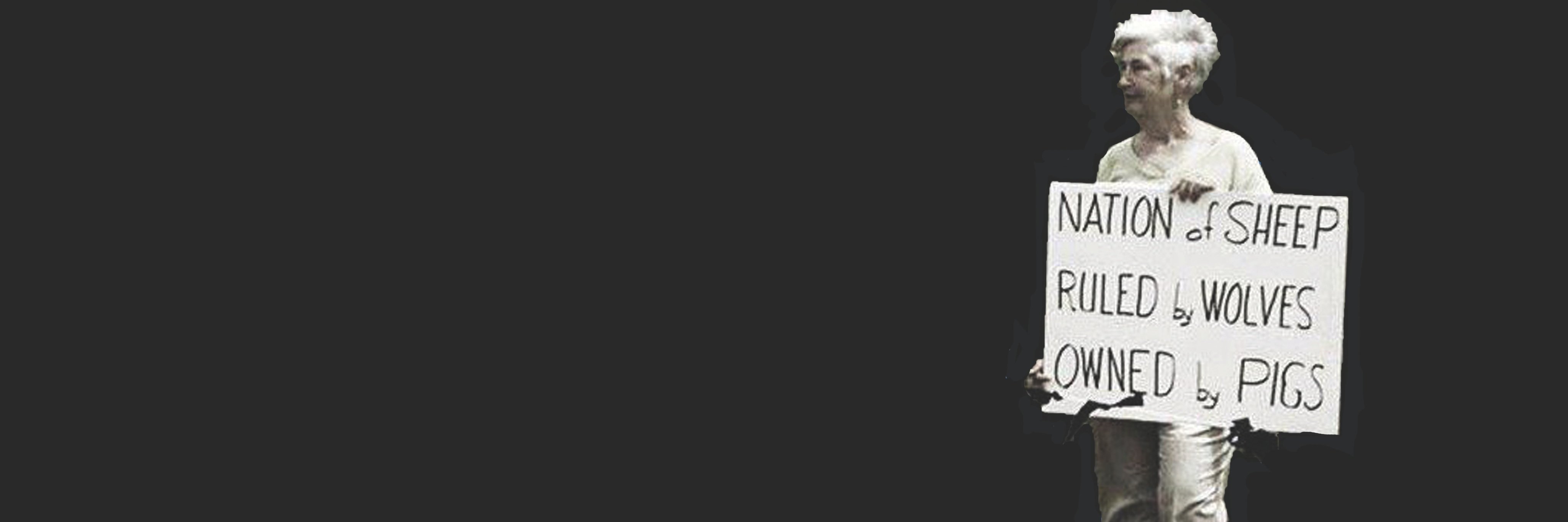 bluecalgal's profile banner image