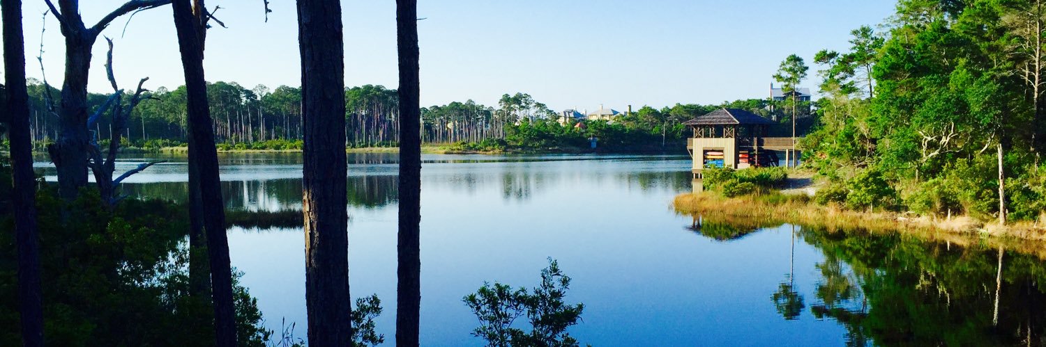 Andy 🇺🇸🇻🇪 banner