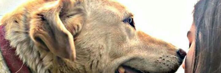 DeennB's profile banner image