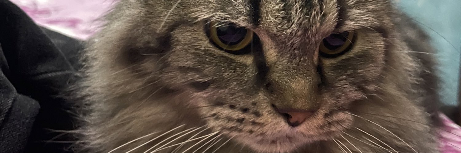 sofyanlich's profile banner image