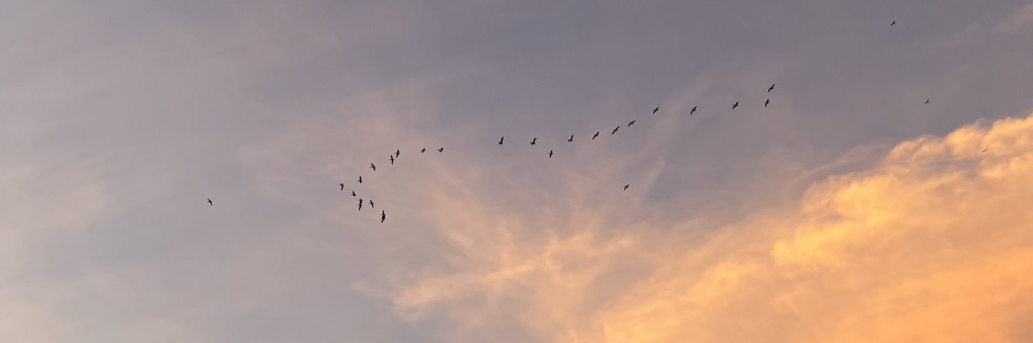 FernandaVzla's profile banner image