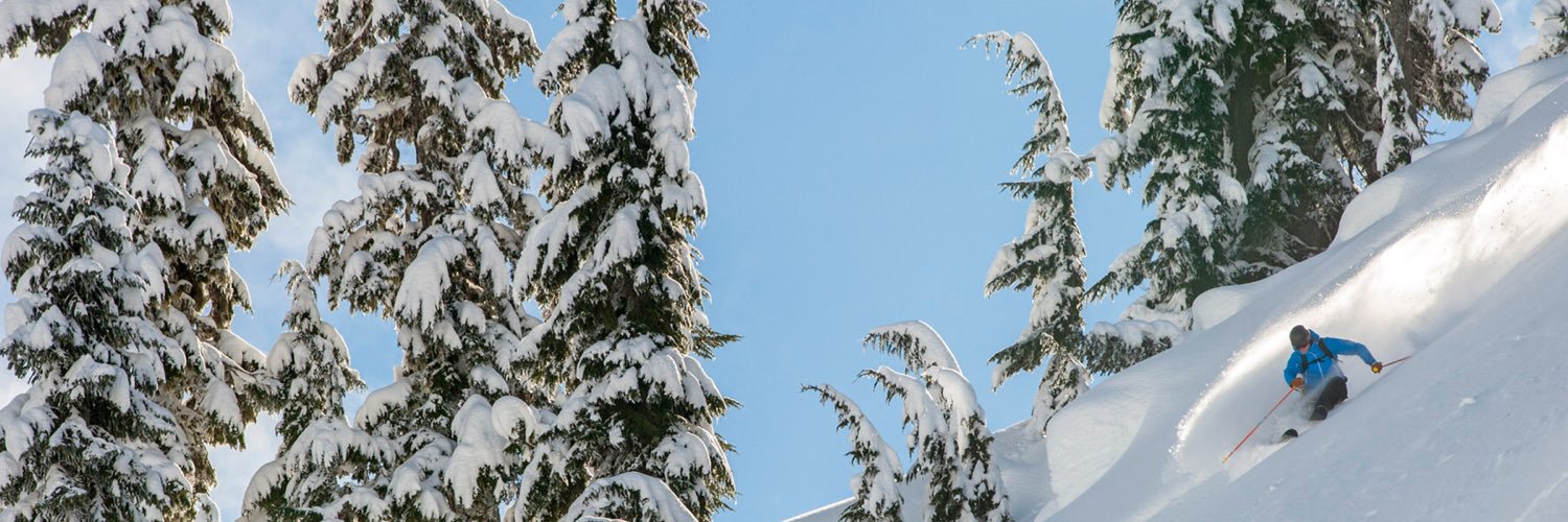 thestash's profile banner image