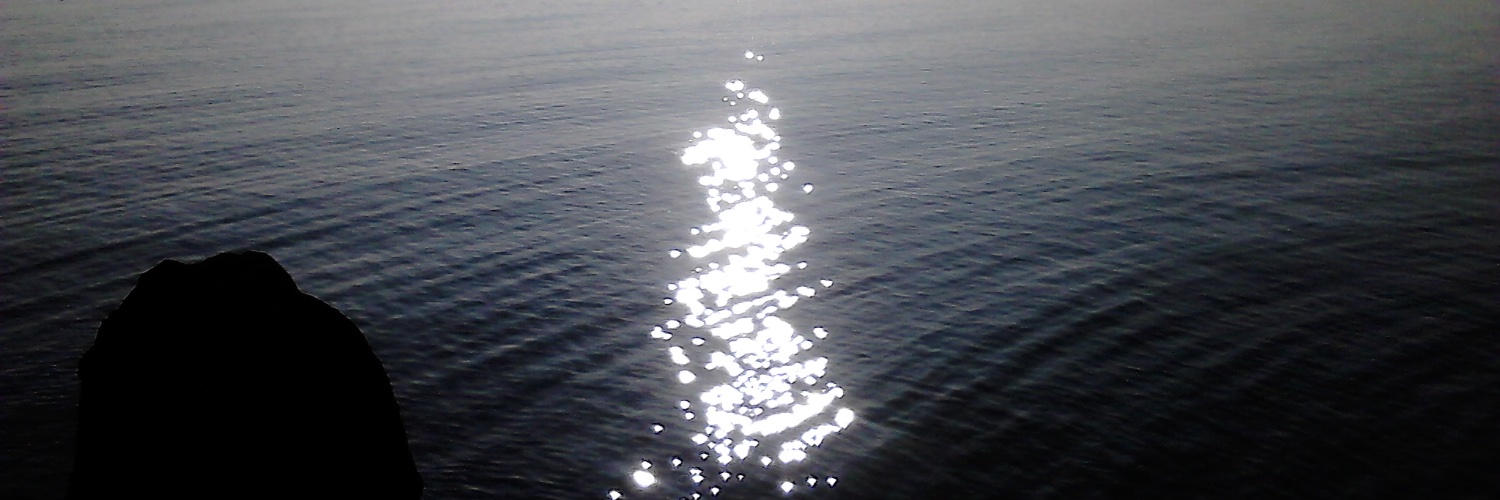 Deirdre Fitzpatrick. banner