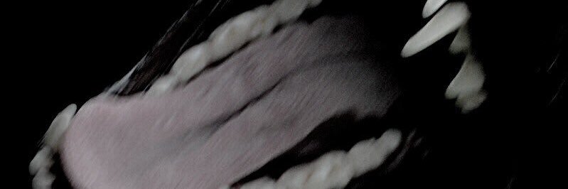 🅃🄷🄴 🄾🄽🄴 🅈🄾🅄 🄵🄴🄴🄳 banner