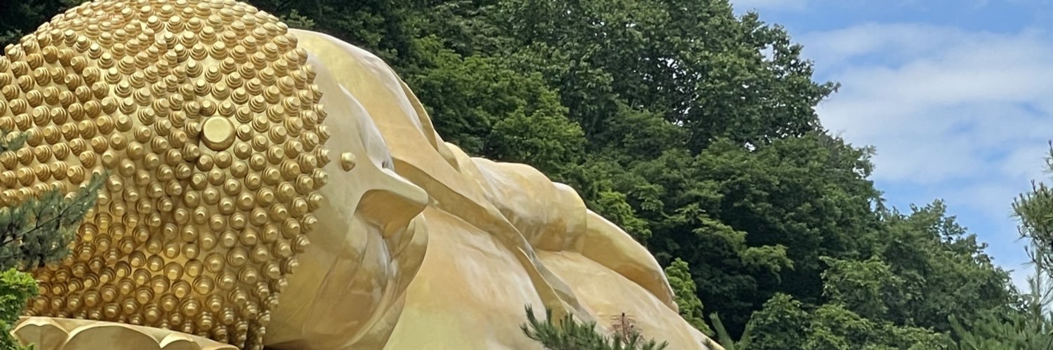 buchiya212's profile banner image