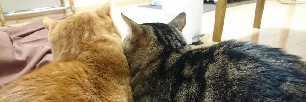 hiroel_0007's profile banner image