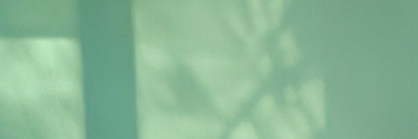 adambro862 Profile Banner