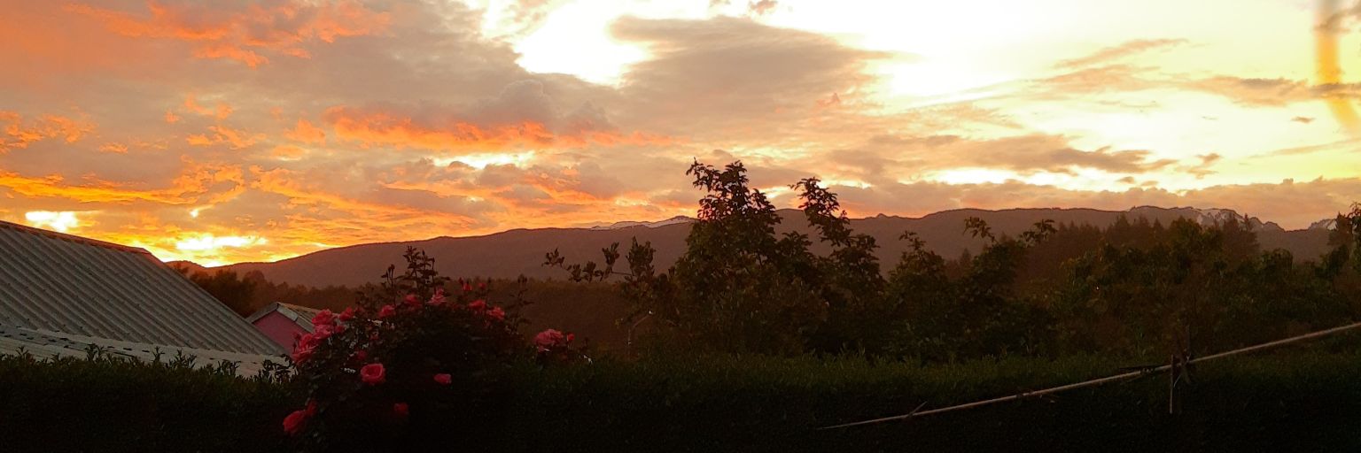vanbinita's profile banner image