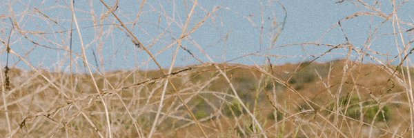 andrepower Profile Banner