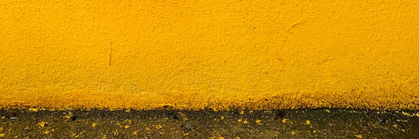 InCollapse_ Profile Banner