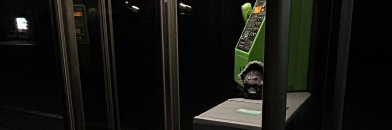 しゅめう banner