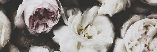 haytur's profile banner image