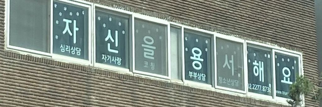 특급사시나무 banner