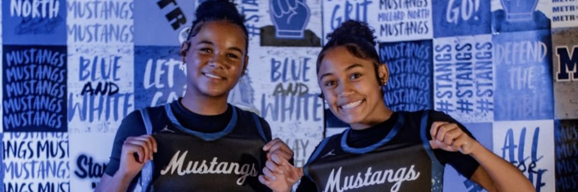 Destini Holverson banner