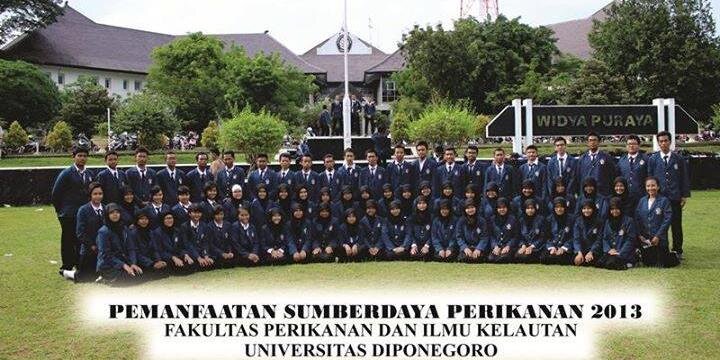 PSP Undip'13 banner