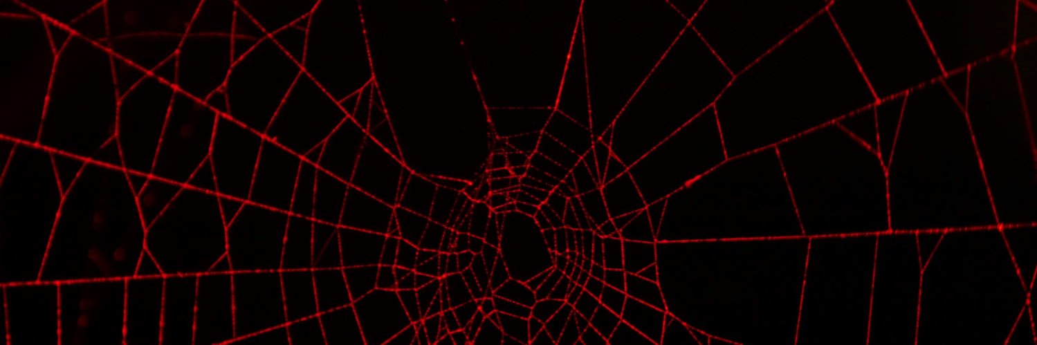 AmazingFantasy15 banner